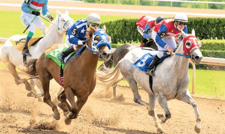 Horse Racing and Its Impact on the Horse Breeding Industry