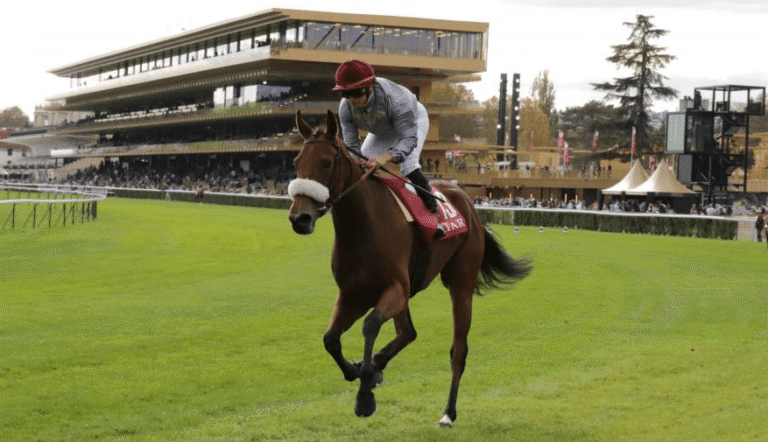 Horse Racing and Its Impact on the Horse Industry