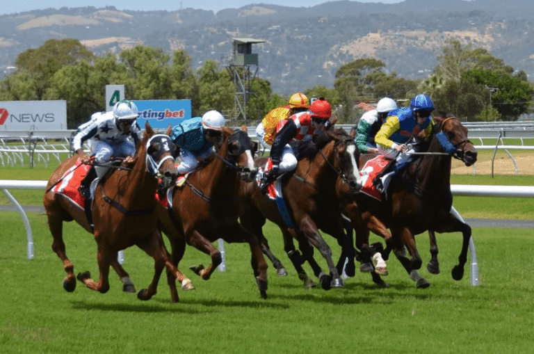 Horse Racing and Its Influence on Modern Sports